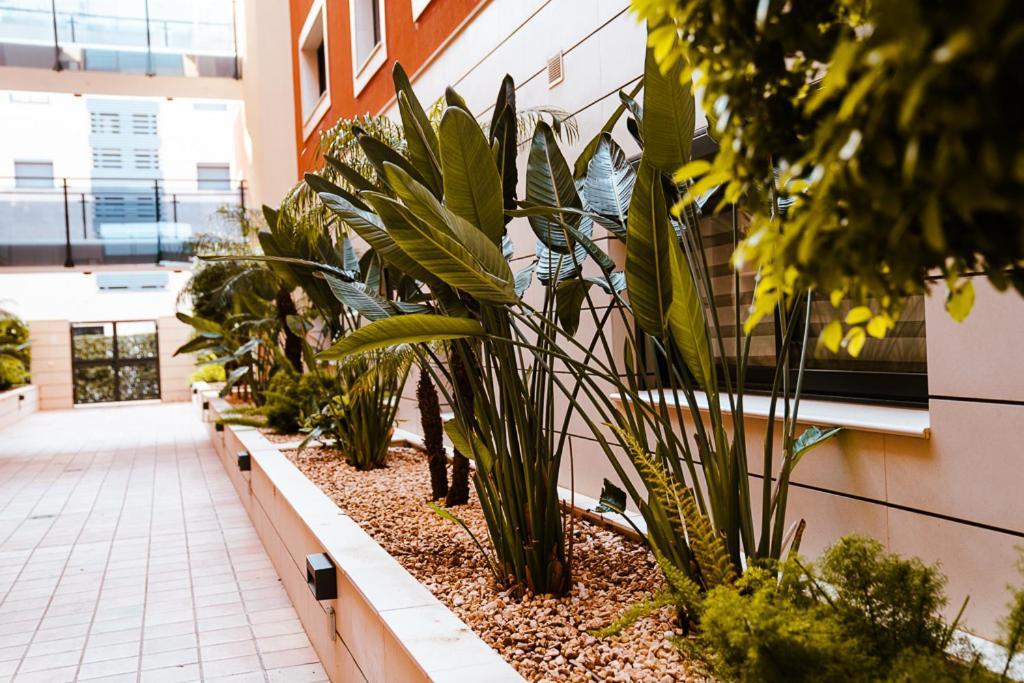 Sol Denia Apartment Exterior photo